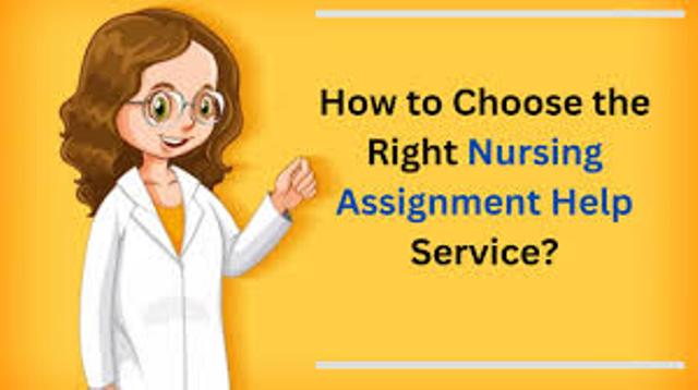 How to Choose the Right Nursing Assignment Help Provider in the UK